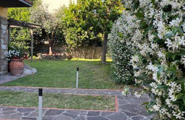 Casa Oasi nel verde - Photo 33