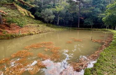 Cabana das Montanhas - Foto 6