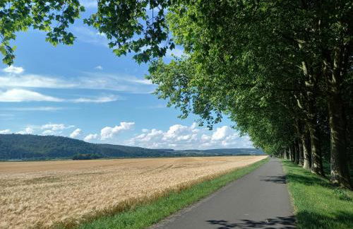 Ferienwohnung Feld und Wiese - Foto 25