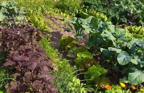 Agriturismo Terra Sabina - Foto 111