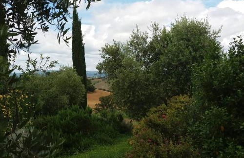 Agriturismo Poderino - Foto 20