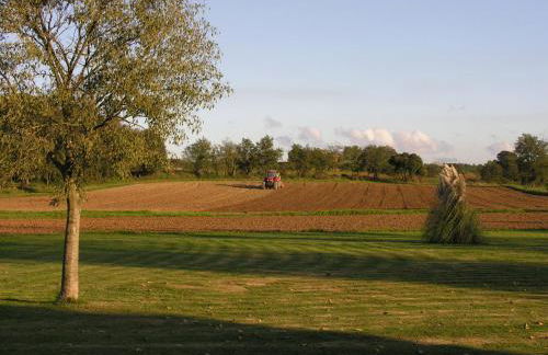 El Mas Pla - Foto 41