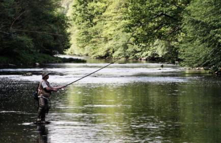 Maison sur la colline cheminée WIFI proche Thermes - Photo 30