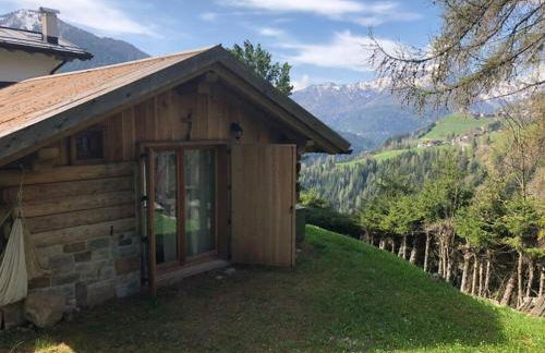 LA VOCE DEL BOSCO Selva di Cadore - Foto 23