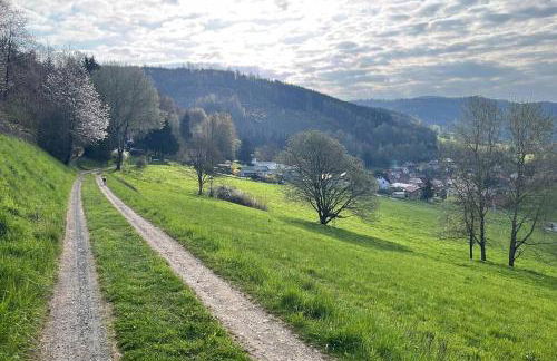 Moderne Fewo mit toller Aussicht - inmitten der Natur - Foto 55