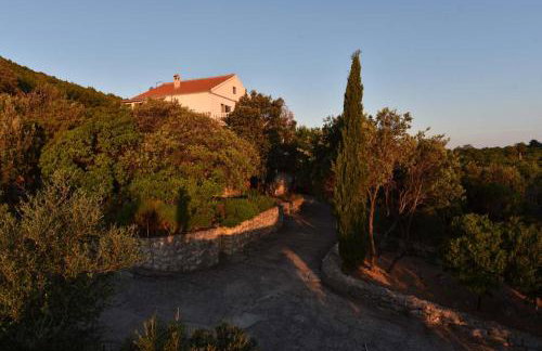 Apartmani Marko - Foto 11