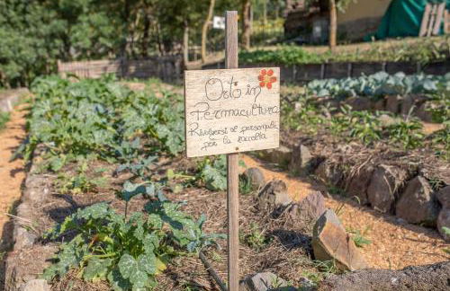 Agriturismo Selvella - Foto 14