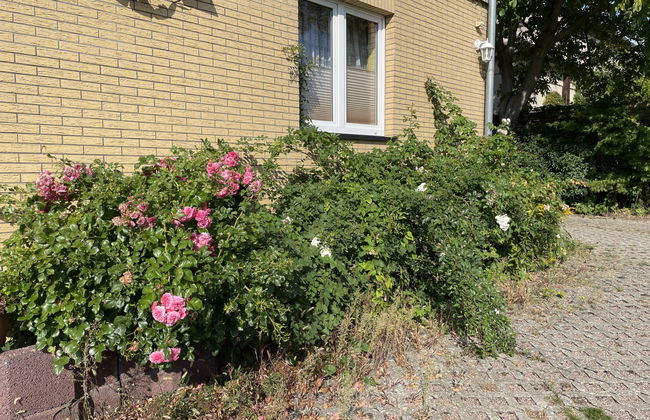 Old Hüsung (MUZ328) - Foto 26