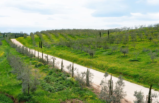 Il Podere di Marfisa - Foto 56