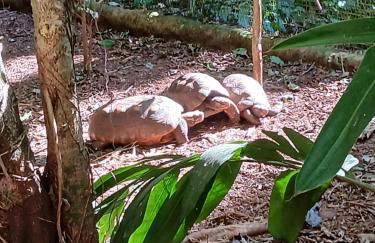 Iguassu Falls Refuge - Cataratas do Iguassu - Paraguai - Argentina - Foto 26
