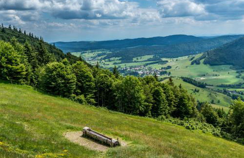 FEWO 2 Panoramablick - NEU incl 3-WeltenCard mit 140 kostenlosen Attraktionen - Foto 31