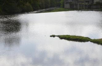 AU BORD DE L'EAU studio 1 - Photo 18