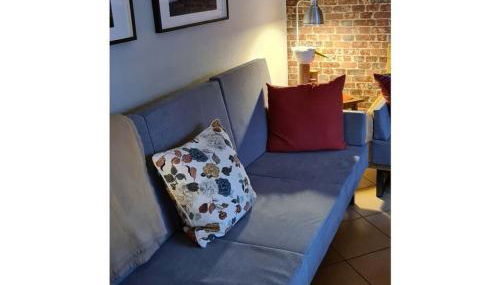 Janssen Comfortable Holiday Residence - Foto 5, Other