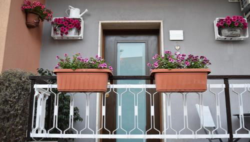 La Casa di Maya & Cloe - Foto 1