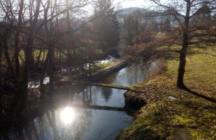 tiny house Pfalz Wellness und Wanderurlaub - Foto 39