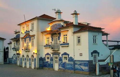 Bird’s Home - Foto 43