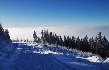 Klimatyczne apartamenty z widokiem na góry Sowie - Foto 53