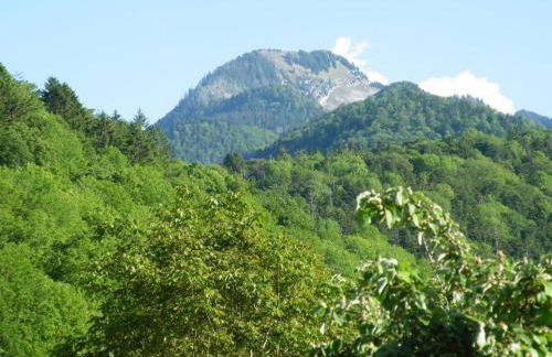 Gîte Annecy 06 - Au Royaume des Marmottes - Appt 06 - Foto 10