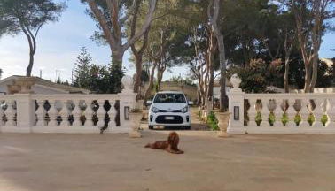 Villa Margherita Art and Music - Foto 5