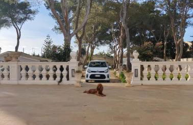 Villa Margherita Art and Music - Foto 5