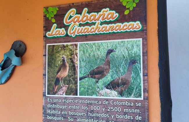 Cabañas Cañón del Chicamocha - Foto 25