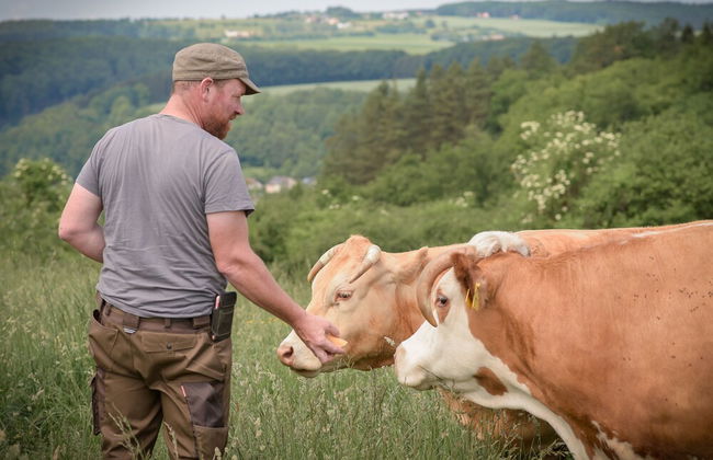 Nengshof - Haus Ehrenpreis - Foto 19