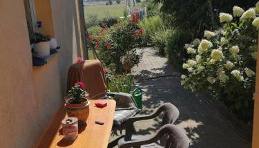 Jennys Hofladen - Photo 4