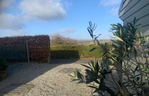 Field View - Foto 23