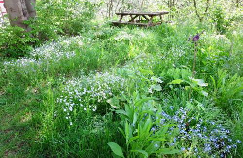 Natururlaub Frankenau - Foto 13