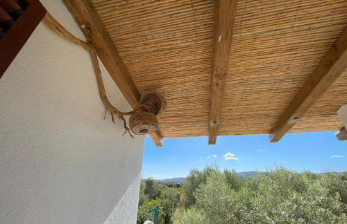 Agriturismo "PIRASTRERI" - Foto 23