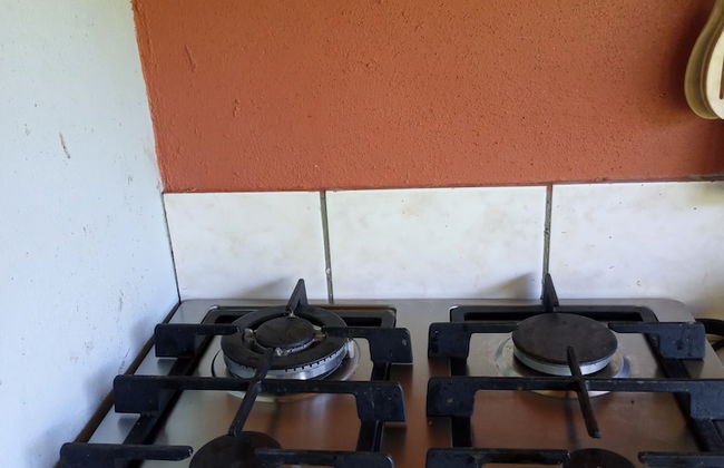 Berkey's Jungle Paradise - Photo 17