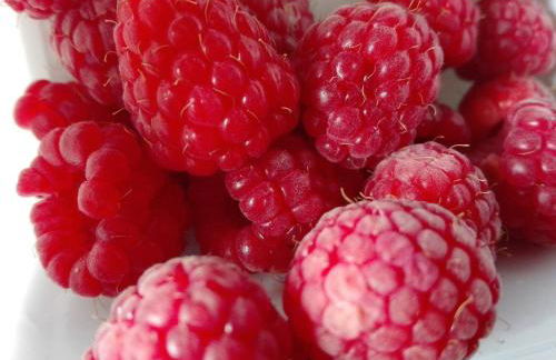 Agriturismo Mirasole - Foto 25