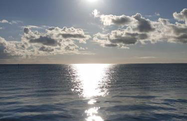 Le Tricorne - Foto 10