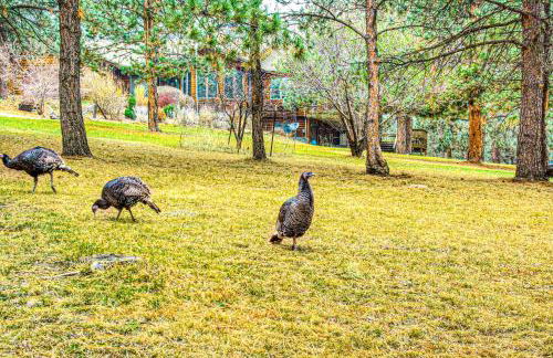 Crooked Canyon Lodge - Foto 4