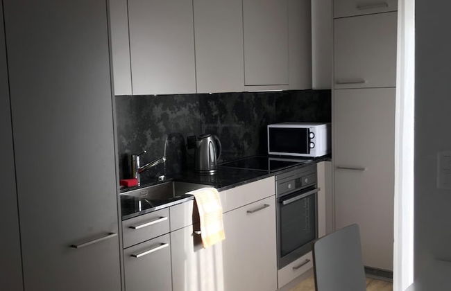 Swiss Star Wiedikon - Foto 12