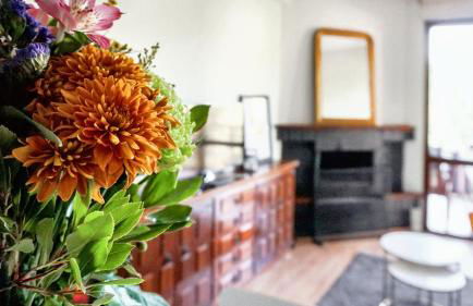 Retiro Chic Frente al Lago - A 1 Hora de Madrid, Pantano de San Juan - Foto 2