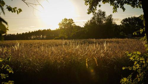 Grand House 47 - Foto 2