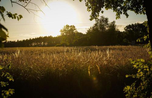 Grand House 47 - Foto 2