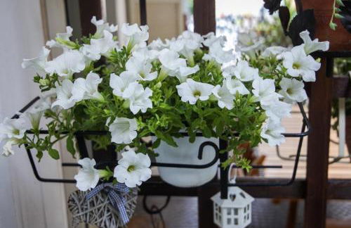 A Casa di Claudia - Foto 38