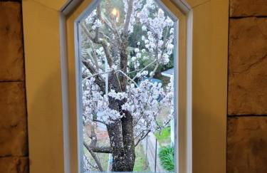 The Castle of Dreams - Foto 57