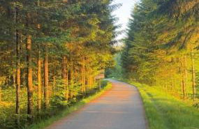 Apartment in Vagney between Gérardmer and La Bresse - Foto 24