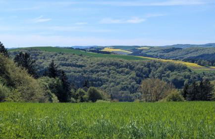 Ferienhaus Pauline am Glan - Foto 46