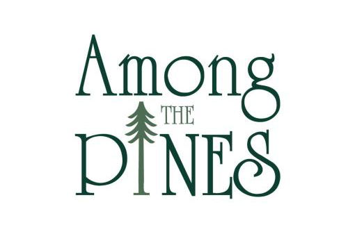 Among the pines - Foto 28