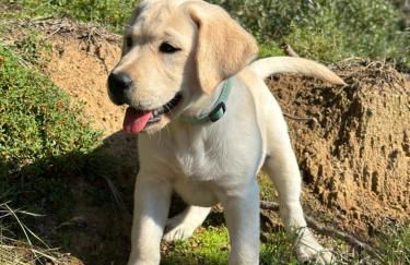 Alojamiento Bella Ada - Foto 19