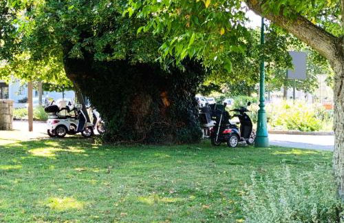 Le Nid Douillet de Bergheim - Foto 22