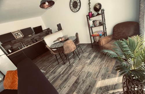 Ô meublé de Pithiviers F2 4 personnes - Photo 34