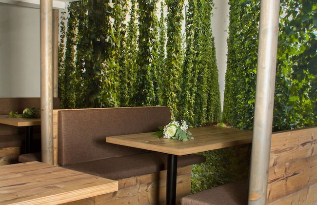 Living Hallertau - Foto 39