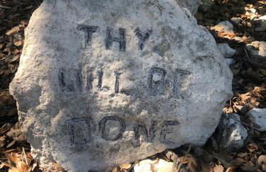 Perfect Country-Side Get-Away - Photo 22