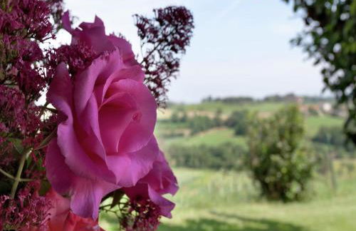 Rustic Charm, Modern Comfort - Foto 45