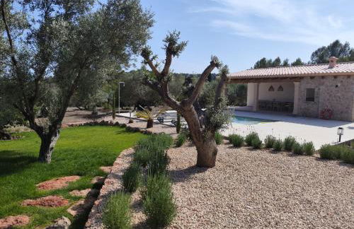 Finca Barons - Foto 4